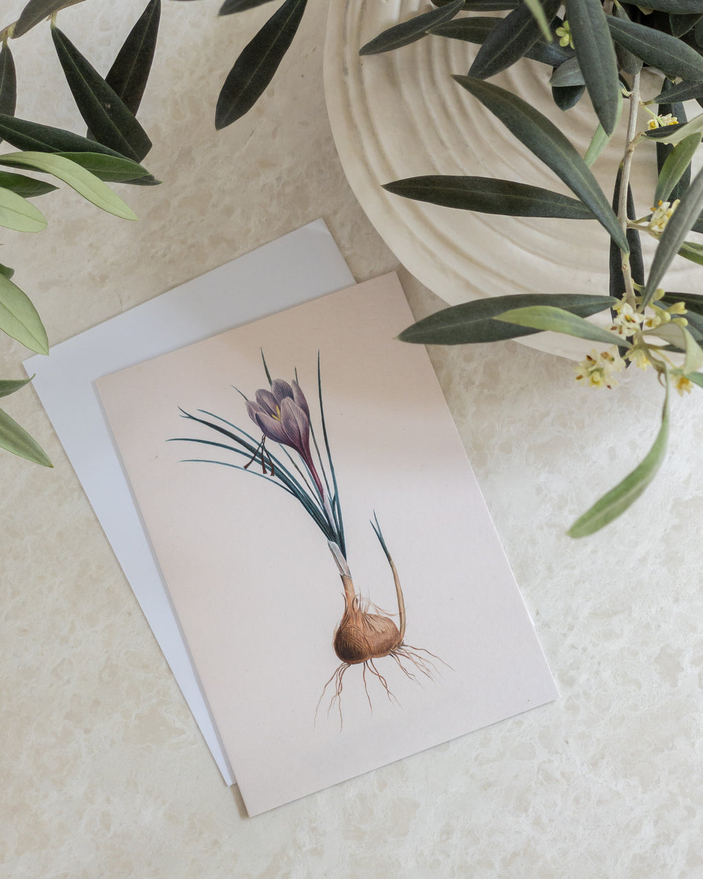 Grußkarte mit Umschlag, Krokus